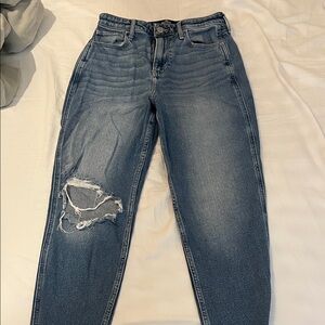 Stylish Blue Distressed Women Mom Jeans